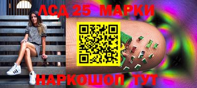 твердый Новодвинск