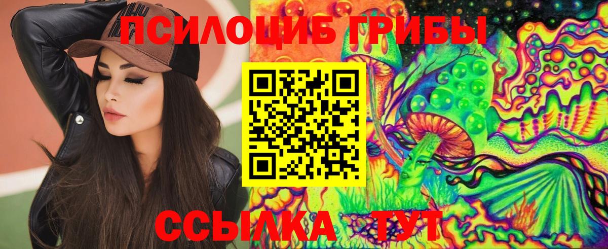 Галлюциногенные грибы мухоморы  где купить наркоту  Спасск-Дальний  Вход с VPN 