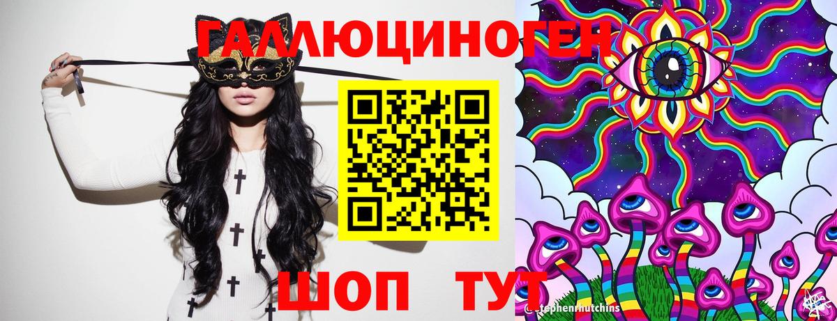 Галлюциногенные грибы Psilocybe Спасск-Дальний